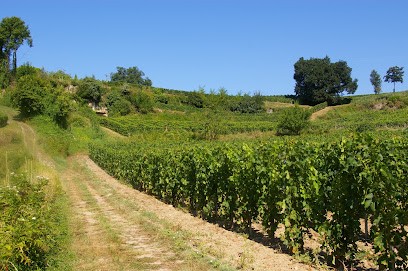 SCEA Du Chateau Tour Du Moulin, Vignoble à Saillans