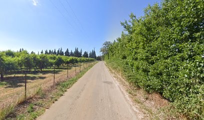 Gfa De Sainte-cecile D'estagel, Vignoble à Saint-Gilles