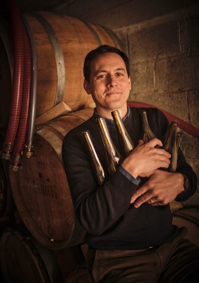 Niderwind, Vignoble à Strasbourg