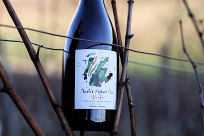 Domaine Jeremy Arnaud, Vignoble à Viviers