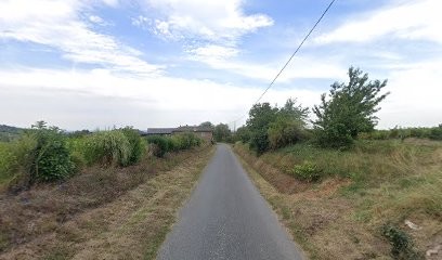 Domaine des Lys Sacrés, Vignoble à Odenas