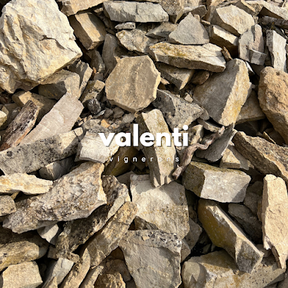 Domaine Valenti Vignoble à Cesseras