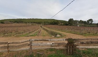 Lagier Michel, Vignoble au Tholonet