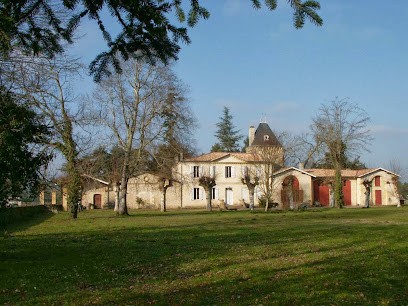 Château Lusseau, Vignoble à Ayguemorte-les-Graves