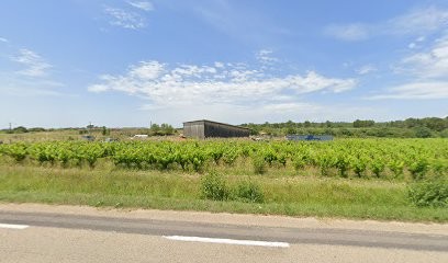 Domaine Vallat D'Ezort Manuela Et Frédéric Martin, Vignoble à Souvignargues