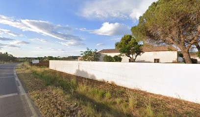 Les Miels Du Languedoc, Vignoble à Pézenas