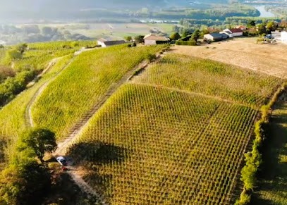 Domaine Pimotin, Vignoble à Tupin-et-Semons