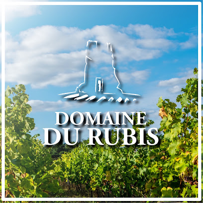 Domaine Du Rubis - Cyril Et Laurent Petiteau Vignoble à Mouzillon