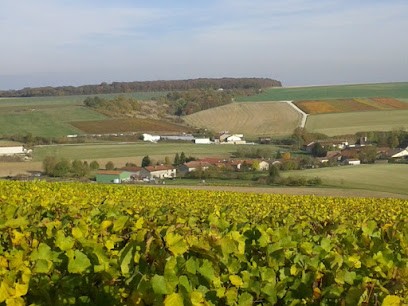 Champagne Charles GOUTHIERE, Vignoble à Saulcy