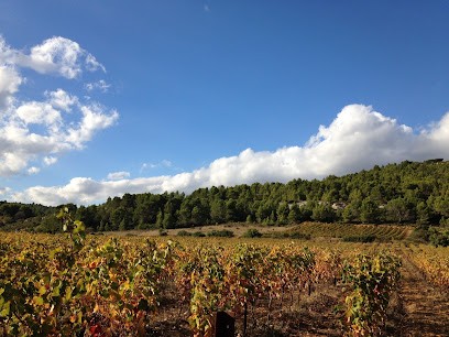Domaine Du Pech De L'Escale, Vignoble à Saint-Laurent-de-la-Cabrerisse