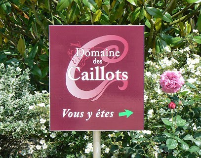 DOMAINE des CAILLOTS Dominique GIRAULT, Vignoble à Noyers-sur-Cher