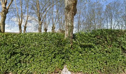 De Mour, Vignoble à Soussans