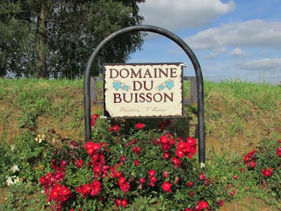 Domaine du Buisson, Vignoble à La Sauve