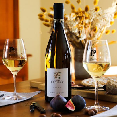 SCEA MANO VIGNERONS (Domaine De La Croisée), Vignoble à Tracy-sur-Loire