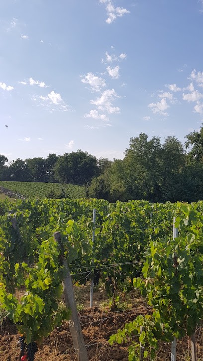 Château Haut-Mongeat, Vignoble à Génissac