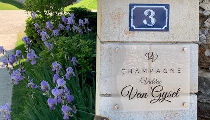 Champagne Valérie Van Gysel, Vignoble à Vallées en Champagne