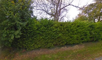 Champagne Verlet-Lelarge, Vignoble à Barbonne-Fayel