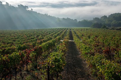 Chateau Saint Jean lez Durance, Vignoble à Manosque