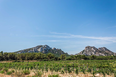 Syndicat Des Vignerons Du Pays D'arles Vignoble à Arles