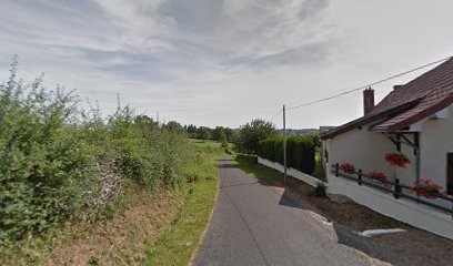 Desvignes Michel Noel Rene, Vignoble à Saint-Vincent-Bragny