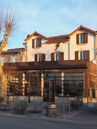 Ferraton Père & Fils Caveau, Vignoble à Tain-l'Hermitage