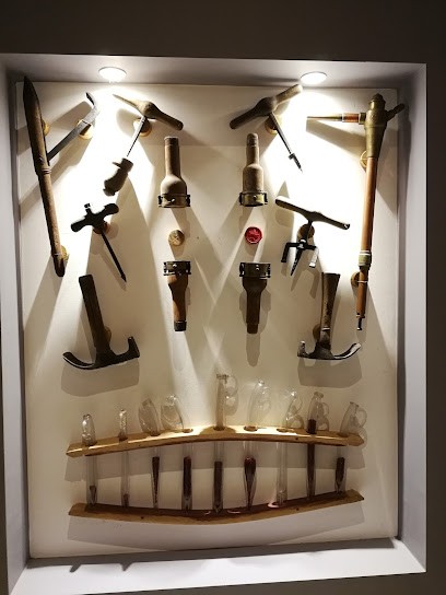 Cave Les Vieux Colombiers, Vignoble à Bégadan