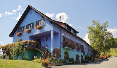 Vins D'Alsace Alphonse Meyer Et Fils - Vignerons Indépendants, Vignoble à Zimmerbach