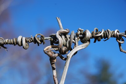 Vignobles Boutinon, Vignoble à Saint-Quentin-de-Baron