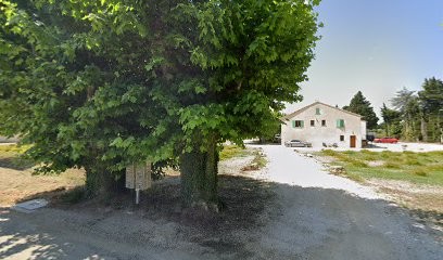 Pepinieres Viticoles Courbet, Vignoble à Sarrians