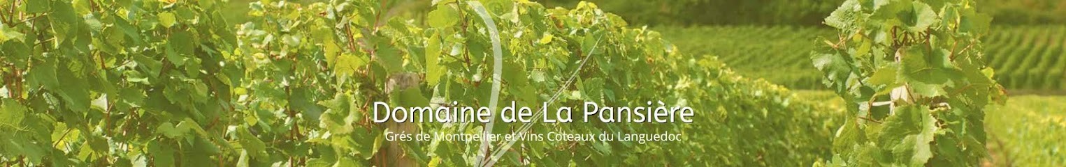 Domaine de la Pansière, Vignoble à Gigean