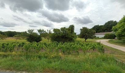 Domaine de Montigny, Vignoble à Sassay