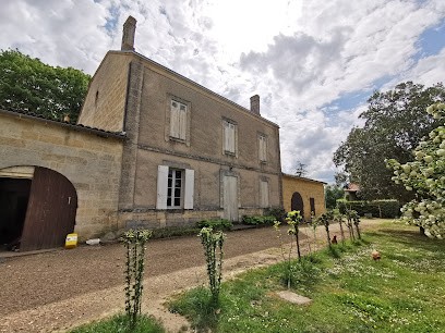 Château Jingle Yard, Vignoble à Saint-Magne-de-Castillon