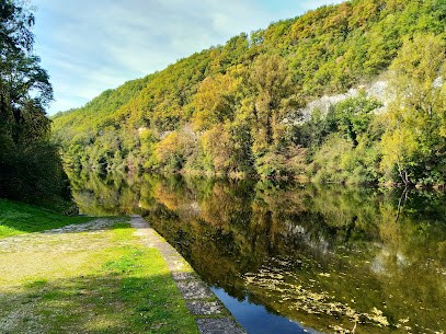 Mas des étoiles, Vignoble à Pescadoires