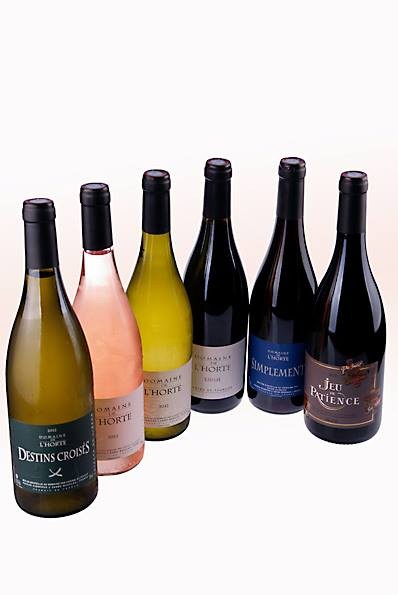 Domaine de l'Horte, Vignoble à Magalas