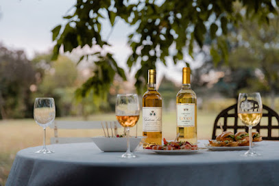 Oenotourisme Sauterne Barsac Vignoble à Barsac