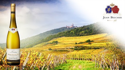 Jean Biecher & Fils, Vignoble à Saint-Hippolyte