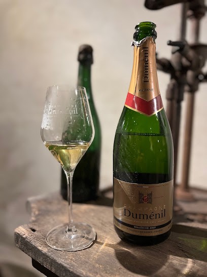 Champagne Duménil, Vignoble à Sacy