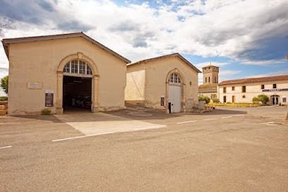 Domaine Du Chapitre, Vignoble à Villeneuve-lès-Maguelone