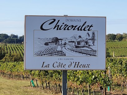 Domaine Chiroulet, Vignoble à Larroque-sur-l'Osse