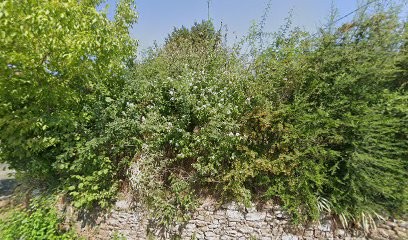 Earl De La Roche, Vignoble à Val d'Oingt