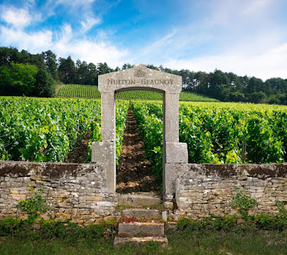 Nuiton-Beaunoy - Cave Vignoble à Beaune