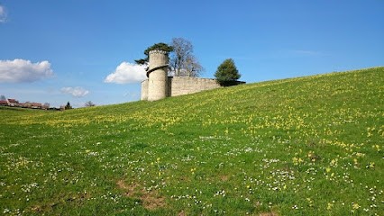 Domaine Janet Jean-Marc, Vignoble à Bouze-lès-Beaune
