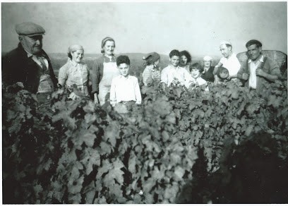 Domaine Vincent Lacour, Vignoble à Saint-Georges-sur-Cher