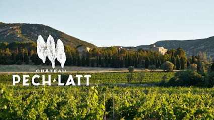 Château Pech-Latt, Vignoble à Lagrasse