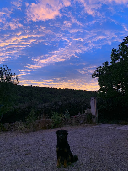 Domaine Hors Ciel Vignoble à Aigues-Vives