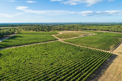 Mas De Carrat, Vignoble à Saint-Drézéry