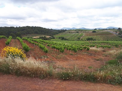 Domaine la Croix Sainte Eulalie Saint-Chinian, Vignoble à Pierrerue