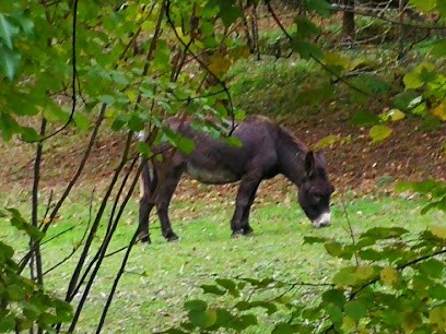 Domaine Des Rouges Queues, Vignoble à Sampigny-lès-Maranges