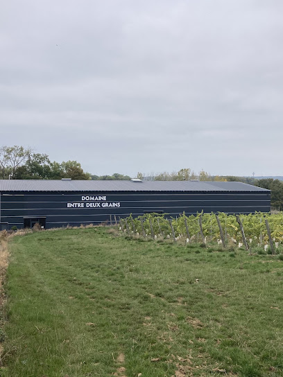 Domaine Entre Deux Grains Vignoble à Magny-en-Vexin
