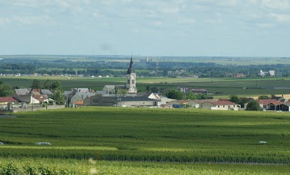 Gille Laurent, Vignoble à Baconnes